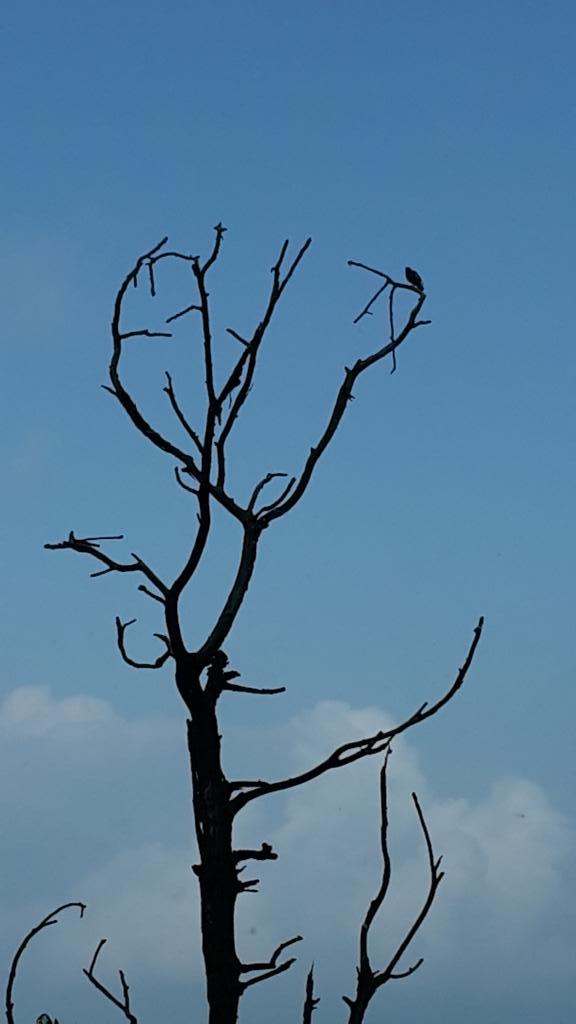 ankurmech's tweet photo. Artistic..isnt it !!! http://t.co/8sjzqHzse8