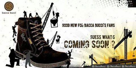 Bacca Bucci tweet media
