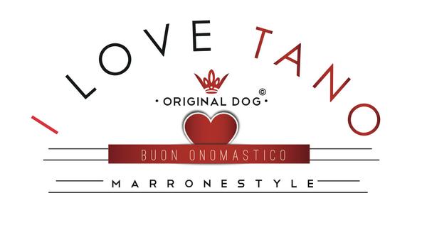 Laura Battista Oggi E San Gaetano Buon Onomastico A Tano Marrone The Original Marronestyle Dog Http T Co 6rem26mrkn