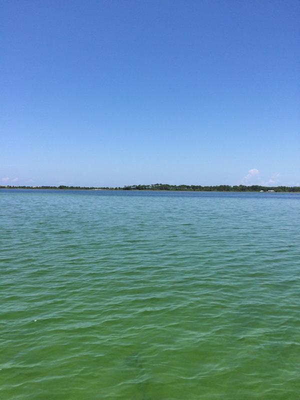 MRH211's tweet photo. I'm suppose to be in the water, instead I'm in the condo trying to get a parking tag. #OleMissParkingProblems http://t.co/gZ1RTVQtTb