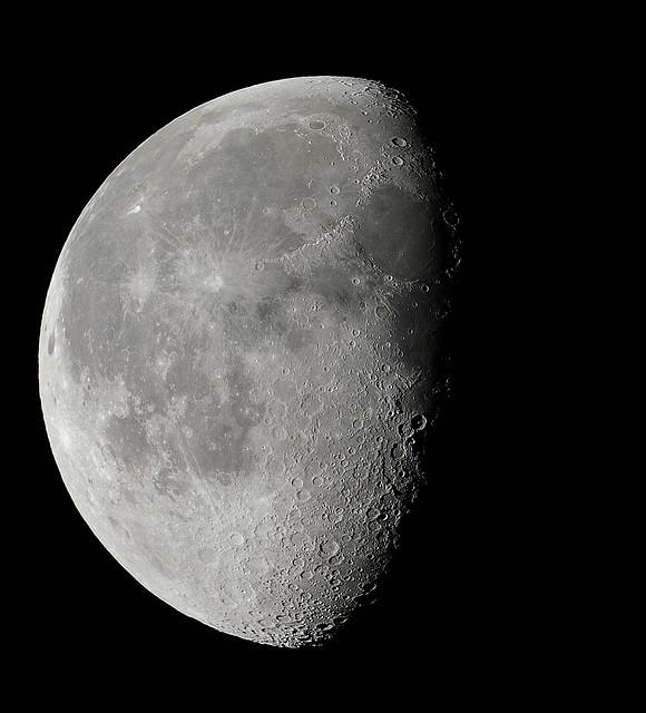 TripsReality tweet picture