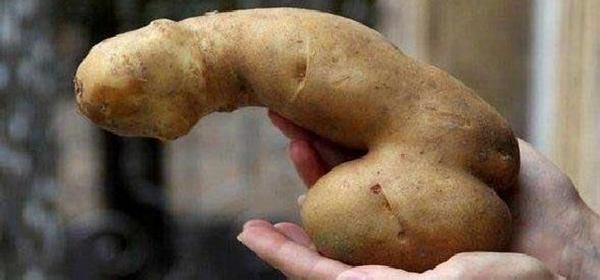 Прямая ссылка на встроенное изображение