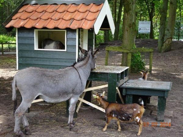 Hilversum Verbonden tweet media