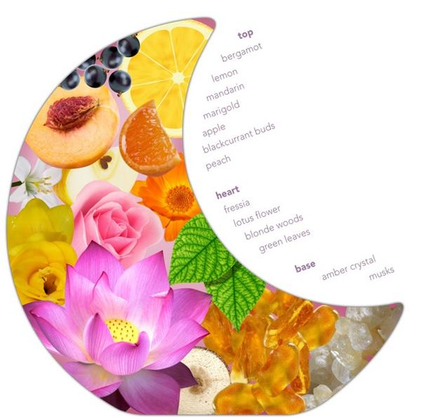 GhostFragrances's tweet image. #fragrancefact Did you know Ghost Eclipse contains Sweet Bergamot, Lemon, Mandarin, Apple? #fruitynotes