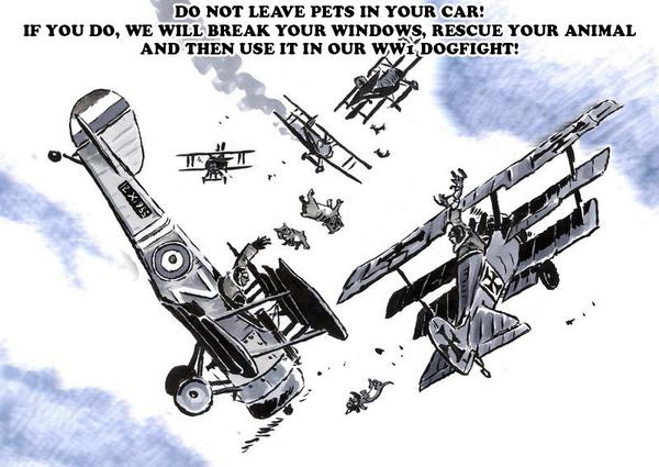 No dogs are allowed on the airfield (guide dogs excepted) - and please don't bring pets to leave them in the car!