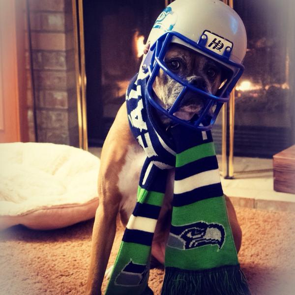 flotlin56's tweet image. #twelfie