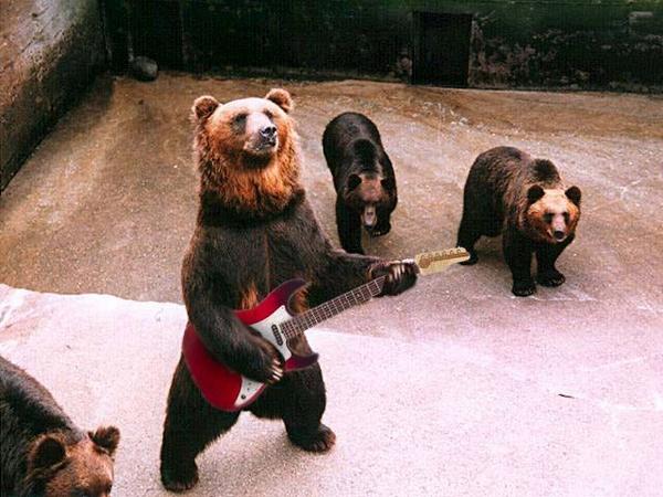 DawnProtection's tweet image. are you waiting for the new album!?