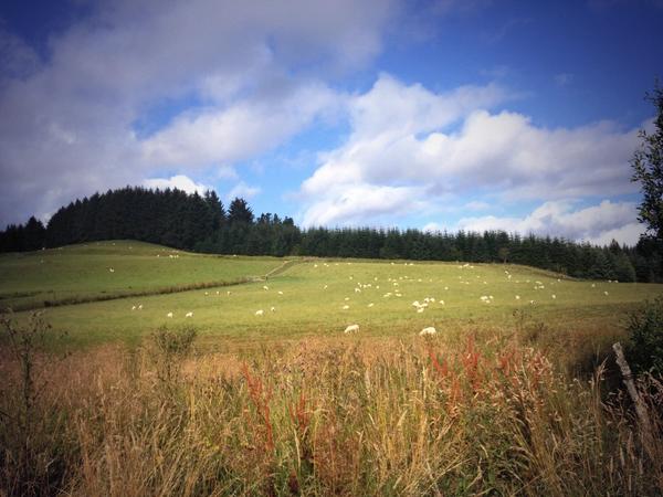 My view going to #work today!! 😊 Lovely #welshwedding with a wonderful family!! #weddingphotographernorthwales