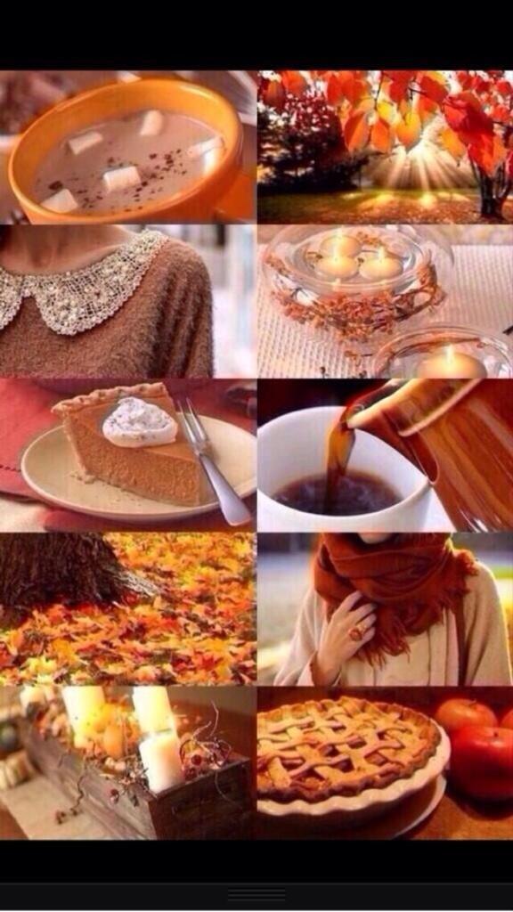 ChloeVoris's tweet photo. 💕🍂 fall is coming 😌 http://t.co/AMHJSZEijK
