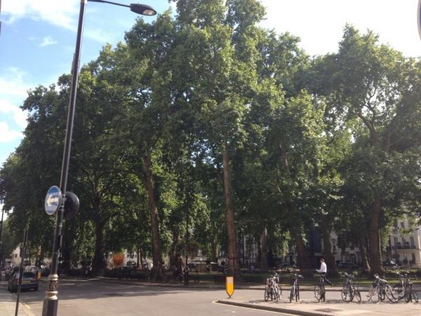 Bye bye Berkeley square.