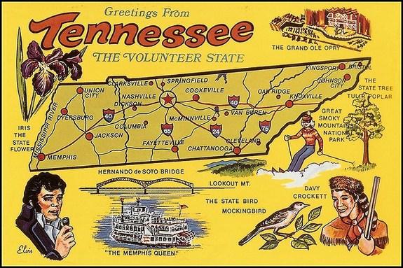 TermLifeTenn's tweet image. Great stuff here! Check this old school #Tennessee postcard. #VFL