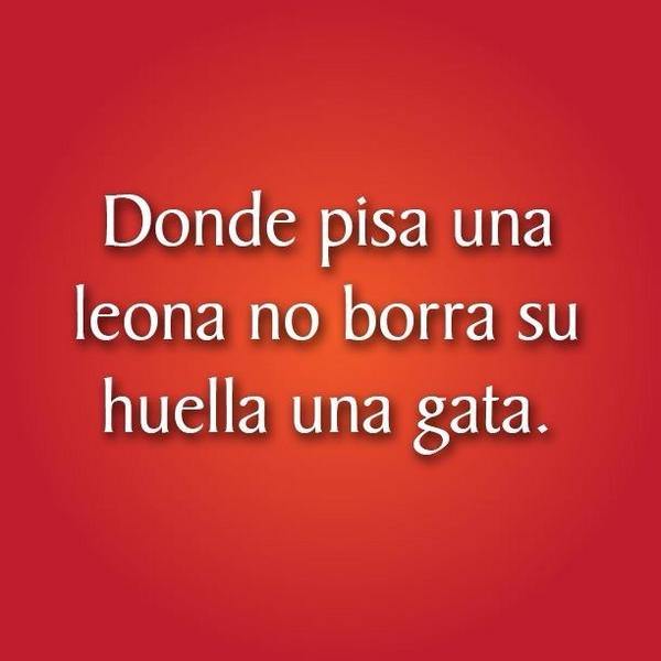 MissBCDF's tweet image. Y vos naciste gataaaaa