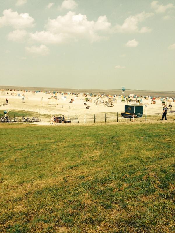 Felix Schümann tweet media