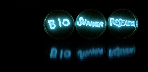 markowenmartin's tweet photo. Trying to shed some light on the awesome nature of summer research at @univpugetsound #bioluminescence #undergradwork http://t.co/KQA1I0Rfhs