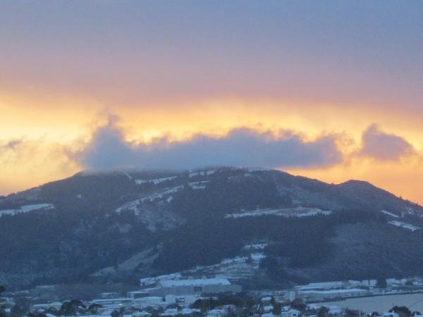 cheryl kalolo tweet media