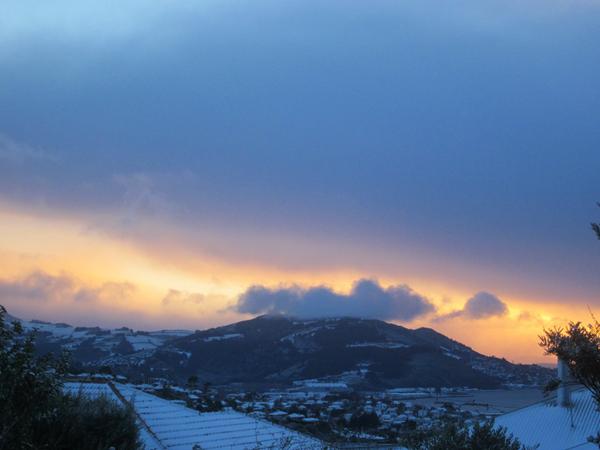 cheryl kalolo tweet media