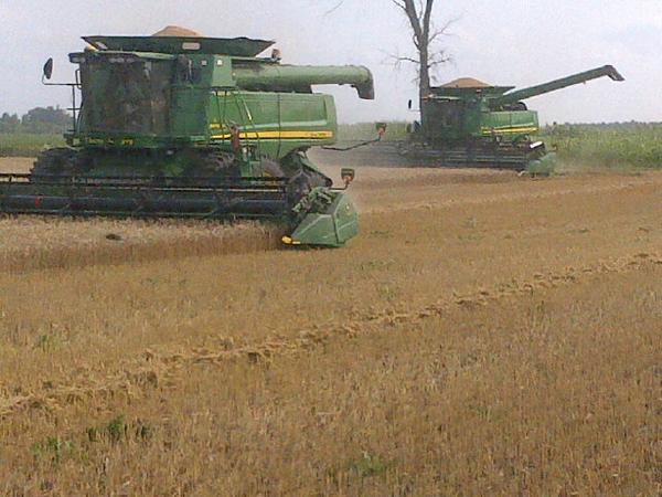 joemcdonnell1's tweet photo. #wheat14 http://t.co/eWhbO3ULM0