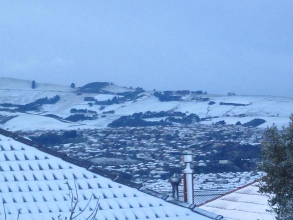 cheryl kalolo tweet media