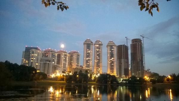 rgolova's tweet photo. Вечером у пруда в Москве http://t.co/1XaYPyMbu0