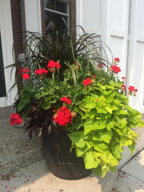 Self-watering containers make for the most beautiful planters all season long! #smartwatering