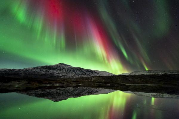 RyanNomados's tweet image. Northern Lights over Norway. 
Photo by Tommy Eliassen.