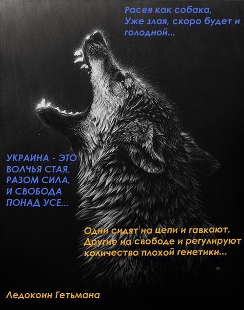 Фонд обороны призывает помочь семьям погибших воинов - Цензор.НЕТ 3656