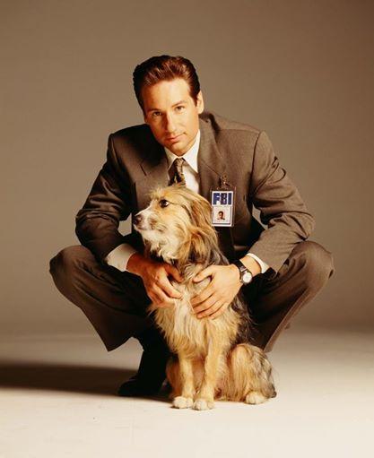 Happy 54th birthday David Duchovny 