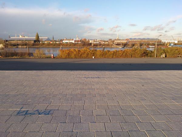 betaanton's tweet image. 64