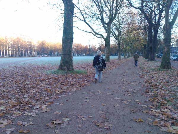 betaanton's tweet image. 71