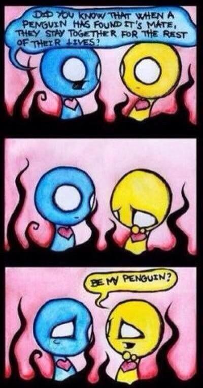 Iris_cookie27's tweet photo. I want someone to be my penguin <\3 http://t.co/p7QqcVpz0j