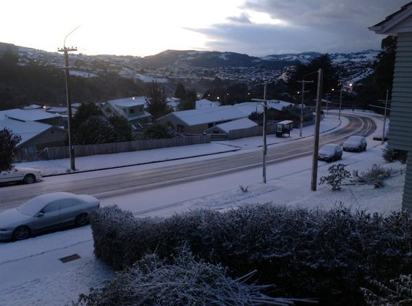 Kelly Mustoe tweet media