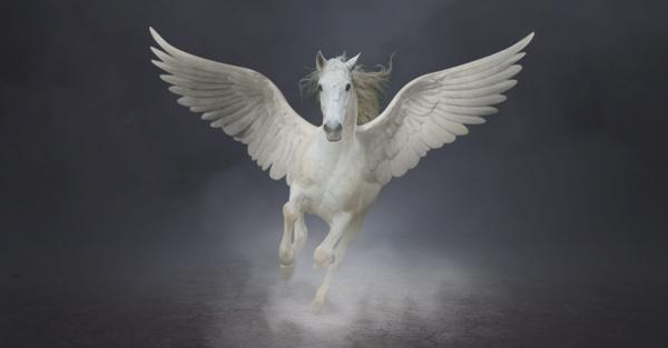 dangerfieldgame's tweet photo. What’s a pegasus have to do with The Dangerfield? You won’t find out here.
http://t.co/8HoxtlYnyC http://t.co/LQ3RB5XaZB