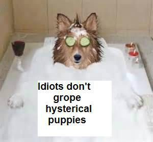 #IDGHP #idiotsdontgropehystericalpuppies @CrazyGishwhes