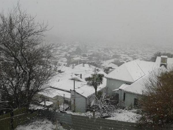 Dunedin Fun dad tweet media