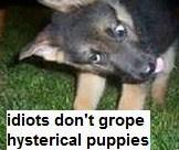OurNameIsCrazy1's tweet photo. @sociopathicx how about #IDGHP #idiotsdontgropehystericalpuppies http://t.co/3PfGWnZBtP