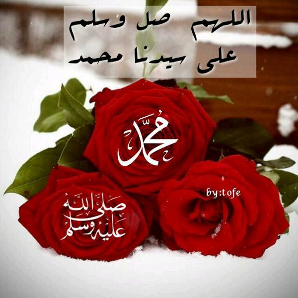 Almare71 tweet picture