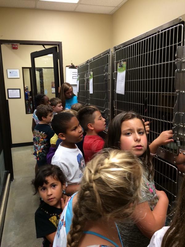 tamiqPSM0359's tweet photo. Adoption Center was very busy during the Store Tour. Lots of questions.  #eastpetm http://t.co/swLV4UtgUL