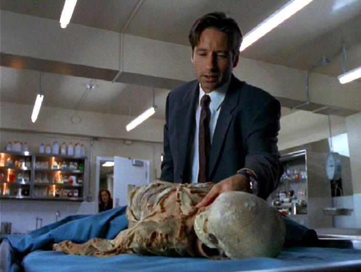 Happy Birthday to David Duchovny aka Mulder. <3 