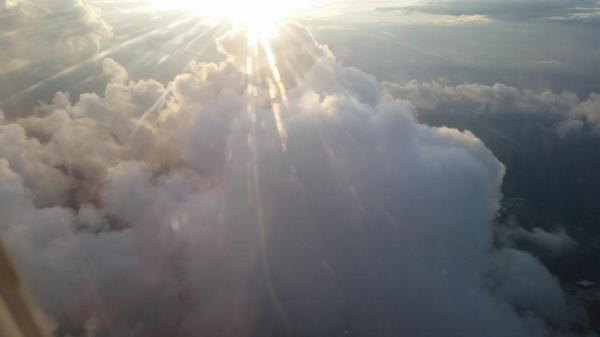 Andrew Rinn (@AndrewRinn) | Twitter