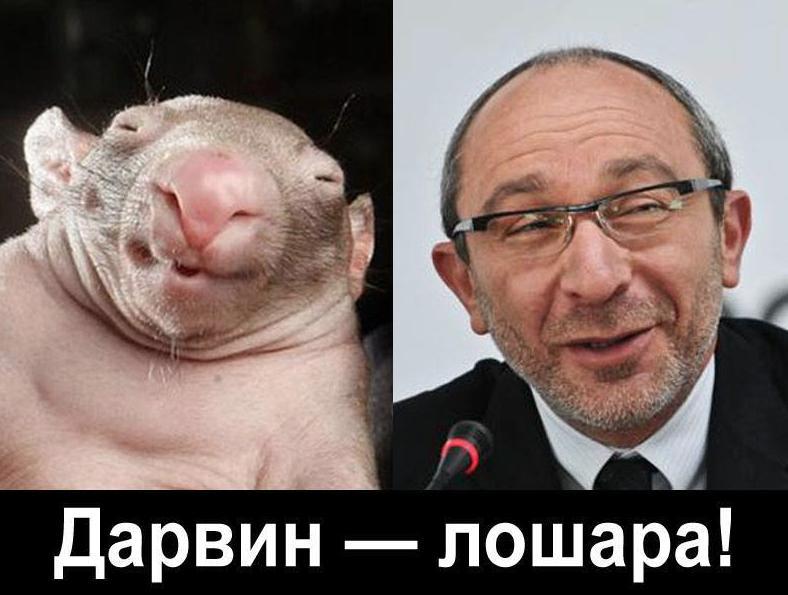 Кернеса зарегистрировали мэром Харькова, заявление он прислал в электронном виде - Цензор.НЕТ 4431