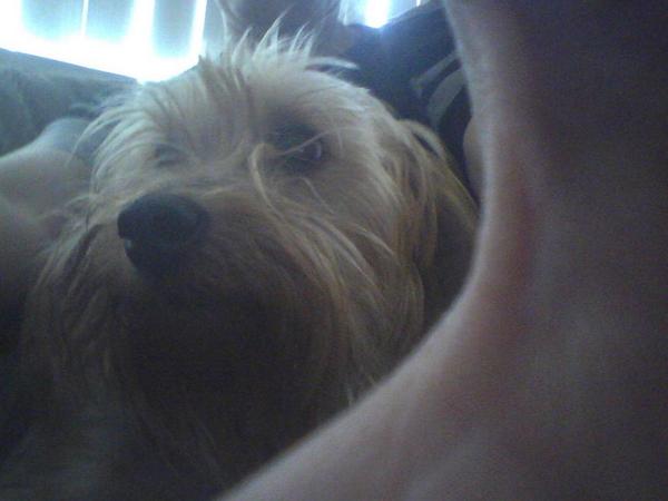 QueenaAnne's tweet image. 