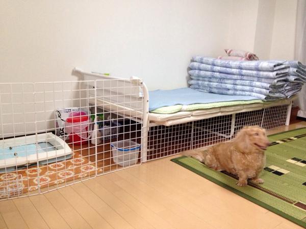 ラッキー ライフ 犬小屋 ベッドを利用した手作りの犬小屋です 100円ショップのワイヤーネットを8枚と結束バンド 1000円以下で作れます それにしても 結束バンドって便利ですね 重宝します Http T Co Clu40ayula