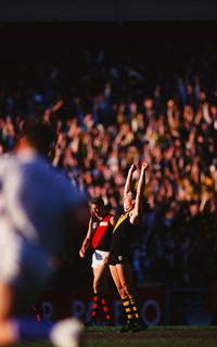 Richmond FC 🐯 tweet media