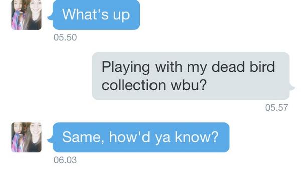 BorisLaursen's tweet image. Idk... how I should respond to this. HELP ME GUYS.. @GabbyBerry4