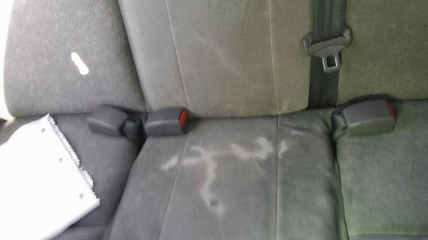 William Morrison tweet media