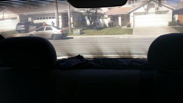 William Morrison tweet media