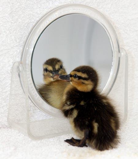 I see you seeing me.