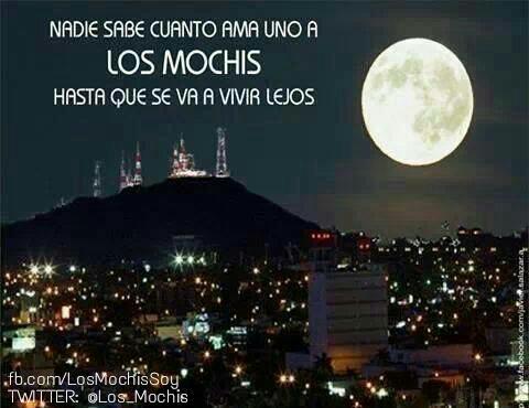 X 上的 Los Mochis News：「Quiero 10 #Chimichangas 😩😭 solo #LosMochis #Sinaloa  #odiogdl ✊ by jorgegles  / X