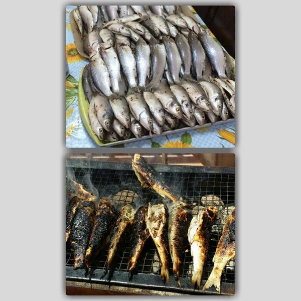 Dandoon25's tweet photo. نقطة ضعفي 😍😍😍 http://t.co/Mrrsf1Z24d