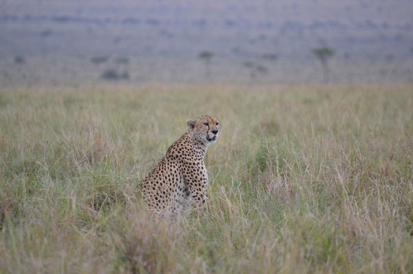 Healthy Planet tweet media